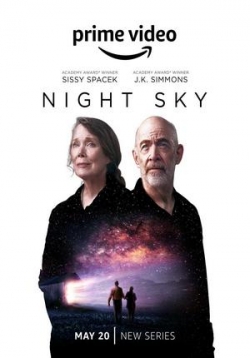 Ночное небо — Night Sky (2022)