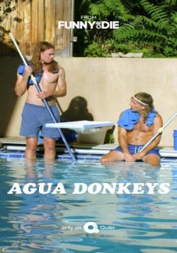 Водные ослы — Agua Donkeys (2020)